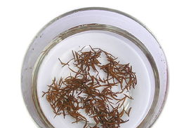 金六办公用品店铺装修与产品展示图片指南