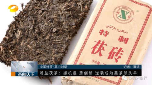 全国首届黑白对话论坛 湘益茯茶以黑茶C位亮相的底气何在