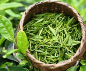 品味桂平西山茶 解锁日常冲泡的最佳方式