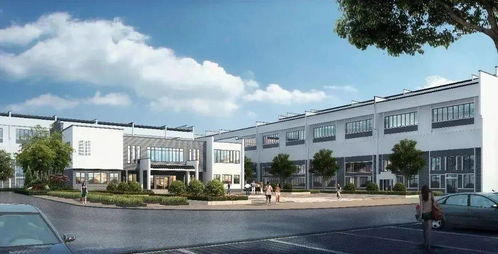 种下梦想，耕耘未来 办公用品中的创意与规划