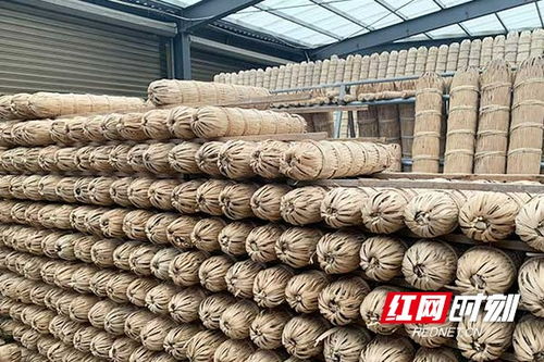 龙塘伴潮涌 ①丨一叶黑茶守初心 跨界突围助振兴