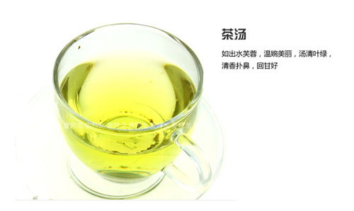 与山共饮，一叶知心——溪源茶叶产品图赏与意境店铺设计解析