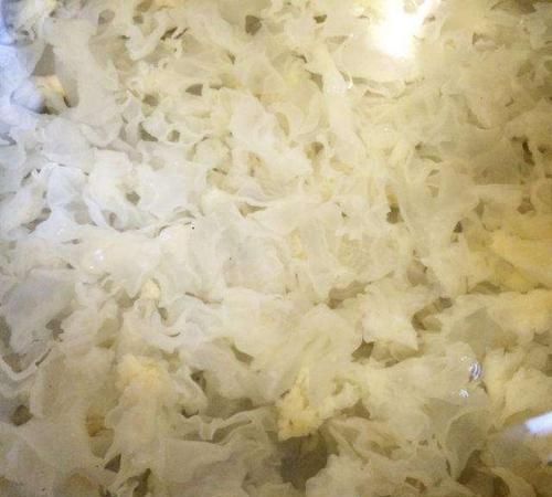 银耳霉变与陈味的食品安全警示\n——兼谈日常选购与存储常识