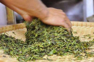 普洱茶制作技艺 杀青，茶味定格的“关键手”